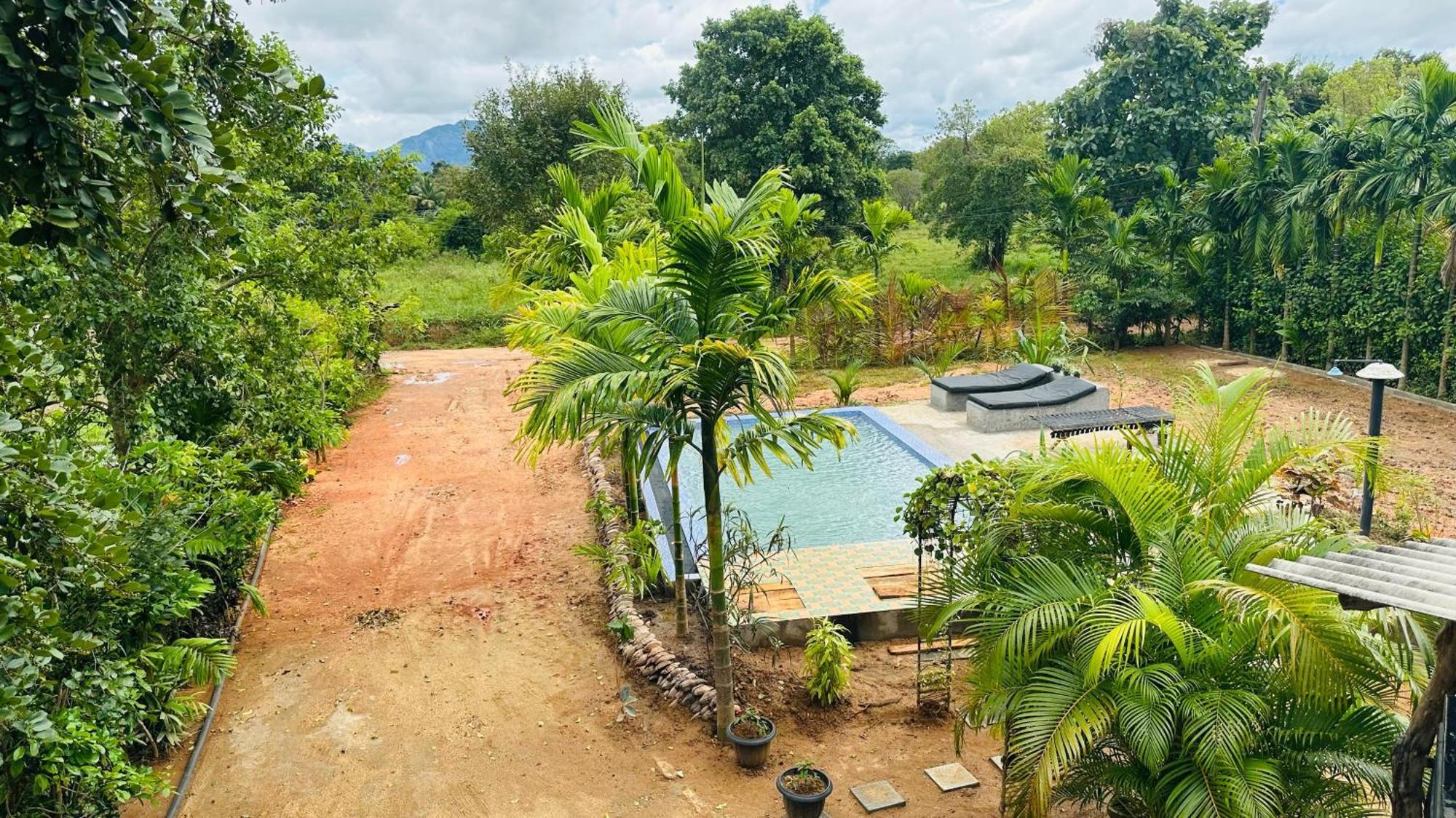 Dew Ashi Homestay 锡吉里亚 外观 照片